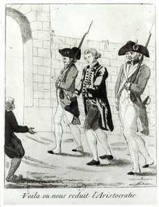 To what we have been reduced by the aristocracy